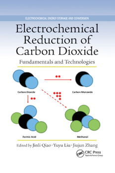Paperback Electrochemical Reduction of Carbon Dioxide: Fundamentals and Technologies Book