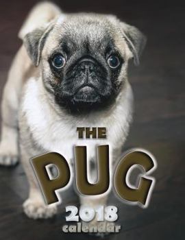 Paperback The Pug 2018 Calendar Book