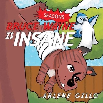 Paperback Bruce Wayne Is Insane: Seasons Book
