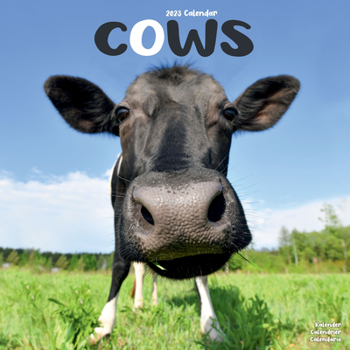 Calendar 2023 Cows Wall Calendar Book