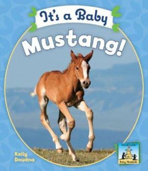 Library Binding It's a Baby Mustang! Book