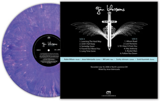 Vinyl Live In Concert   Purple Marble Book