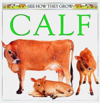 See How They Grow: Calf - Book  of the See How They Grow