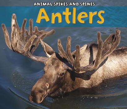 Paperback Antlers (Animal Spikes and Spines) Book