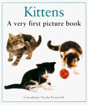 Board book Kittens: A Very First Picture Book