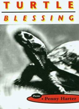 Paperback Turtle Blessing: Poems Book