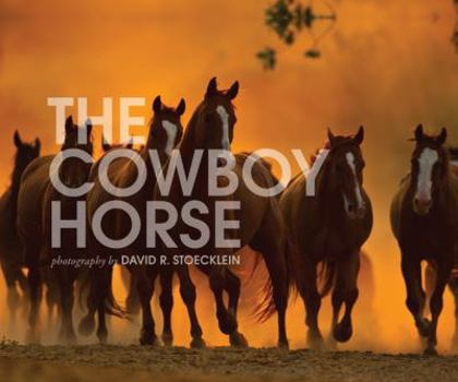 Hardcover The Cowboy Horse Book