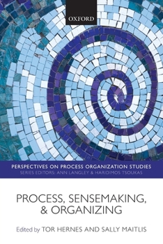 Paperback Process, Sensemaking, and Organizing Book