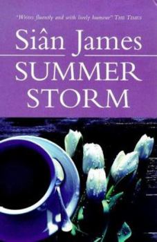 Paperback Summer Storm Book