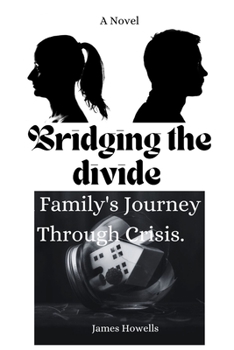 Paperback Bridging the divide: A Novel: a family's journey through crisis Book