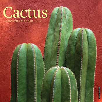 Calendar Cactus 2025 12 X 12 Wall Calendar Book