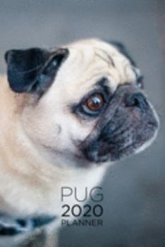 Pug Planner: 2020 diary: Increase productivity, improve time management, reach your goals: Close up pug: Modern artistic photography style cover design