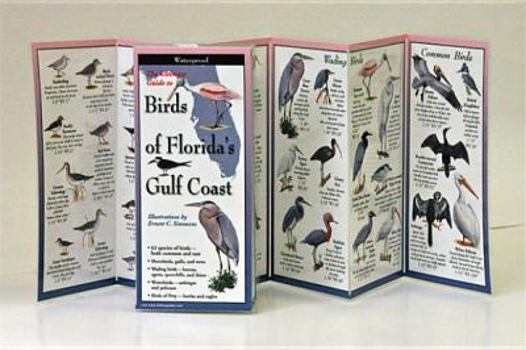 Paperback Birds of Florida's Gulf Coast Book