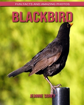 Blackbird: Fun Facts and Amazing Photos