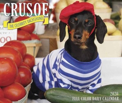 Calendar Crusoe the Celebrity Dachshund 2020 Box Calendar (Dog Breed Calendar) Book
