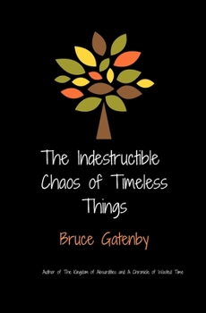 Paperback The indestructible chaos of timeless things Book