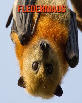 Fledermaus: Sagenhafte Fotos & Buch mit lustigem Wissen über Fledermaus für Kinder
