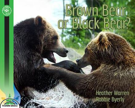 Paperback Brown Bear or Black Bear? Book