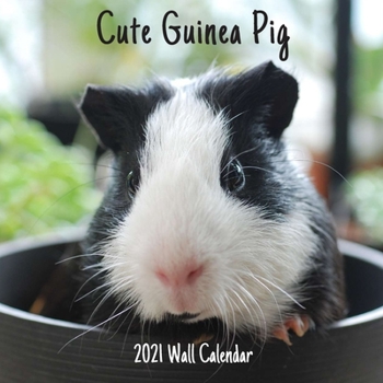 Cute Guinea Pig 2021 Wall Calendar: Cute Guinea Pig 2021 Wall Calendar, 18 Months.