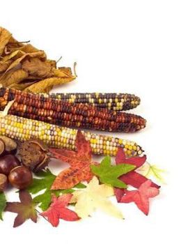 Sunflower Notebook Large Size 8.5 x 11 Ruled 150 Pages Softcover