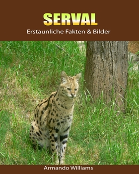 Paperback Serval: Erstaunliche Fakten & Bilder [German] Book