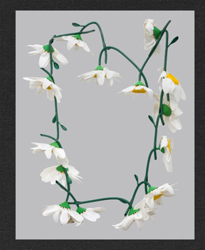 Hardcover Kathleen Ryan: Daisy Chain Book
