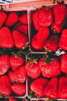 Paperback My Journal: Recipe Journal - 6"x9" - 120 Lined pages - Recipe Recording Notebook - Matte Cover Book