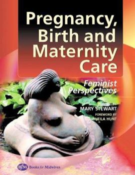 Paperback Pregnancy, Birth and Maternity Care: Feminist Perspectives Book