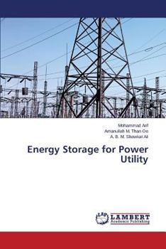 Paperback Energy Storage for Power Utility Book