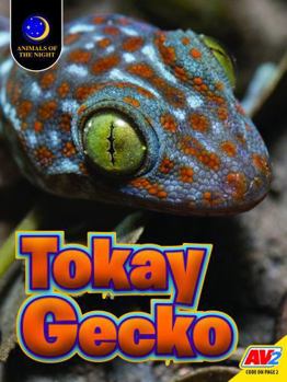 Tokay Gecko