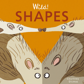 Board book Shapes Book