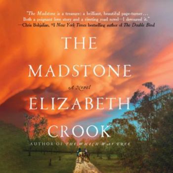 Audio CD The Madstone: Library Edition Book