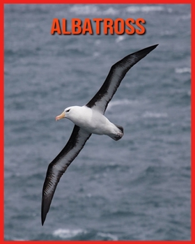 Paperback Albatross: Fun Learning Facts About Albatross Book