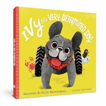 Hardcover Ivy the Very Determined Dog Book