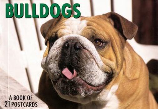 Paperback Bulldogs Book