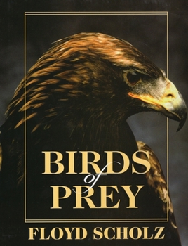 Hardcover Birds of Prey Book