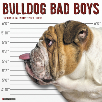 Calendar Bulldog Bad Boys 2020 Wall Calendar (Dog Breed Calendar) Book