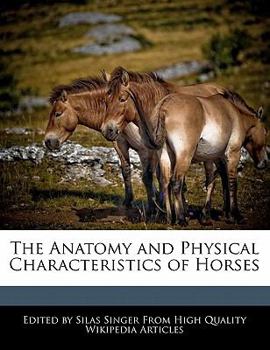 The Anatomy and Physical Characteristics of Horses
