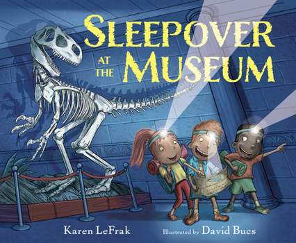 Hardcover Sleepover at the Museum Book