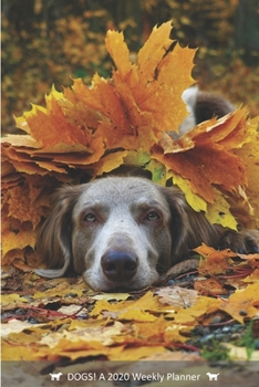 DOGS! A 2020 Weekly Planner: Cover Dog: October (Best Laid Plans)