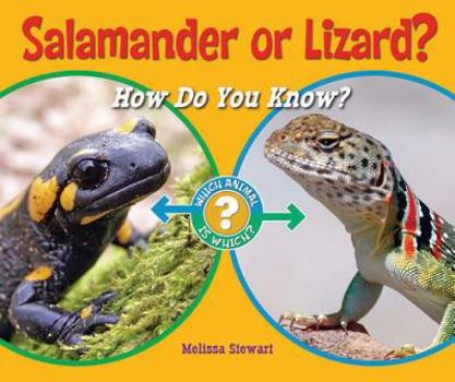 Salamander or Lizard?: How Do You Know? - Book  of the Which Animal Is Which?