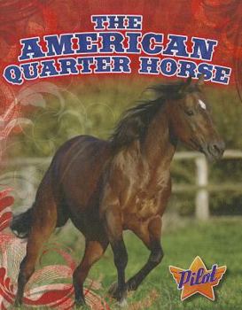 Library Binding The American Quarter Horse Book