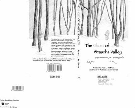 Paperback The Ghost of Weasel's Valley Book