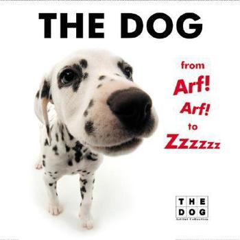 Hardcover The Dog from Arf! Arf! to Zzzzzz Book