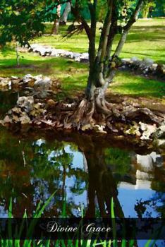 Paperback Divine Grace: A Series Of Instructions Arranged According To The Baltimore Catechism Book