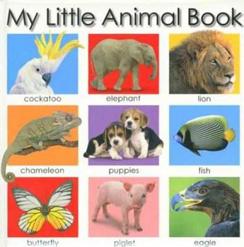Board book My Little Animal Book