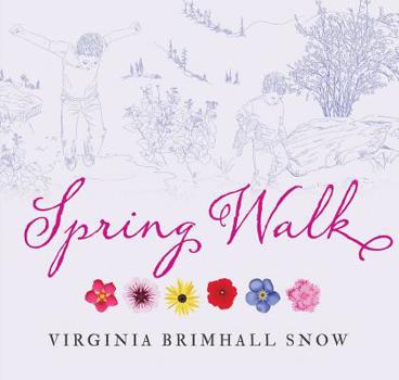 Paperback Spring Walk, Paperback Book