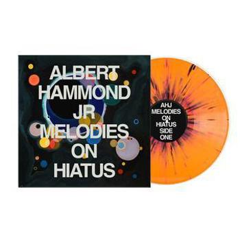 Vinyl Melodies On Hiatus Book