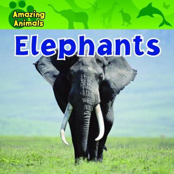 Elephants - Book  of the Amazing Animals