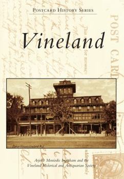 Paperback Vineland Book
